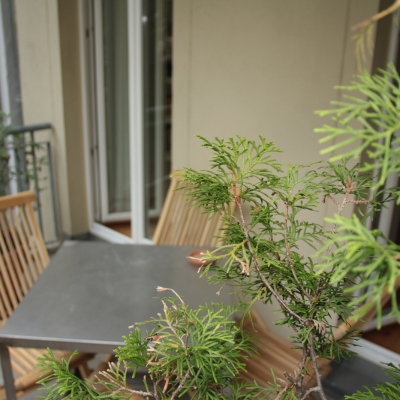 Der Balkon vor der Küche