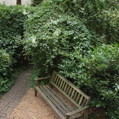 Blick vom Balkon auf den Garten