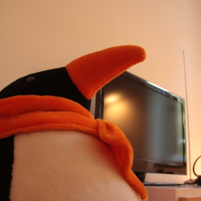 Der Mitbewohner mit Fernseher